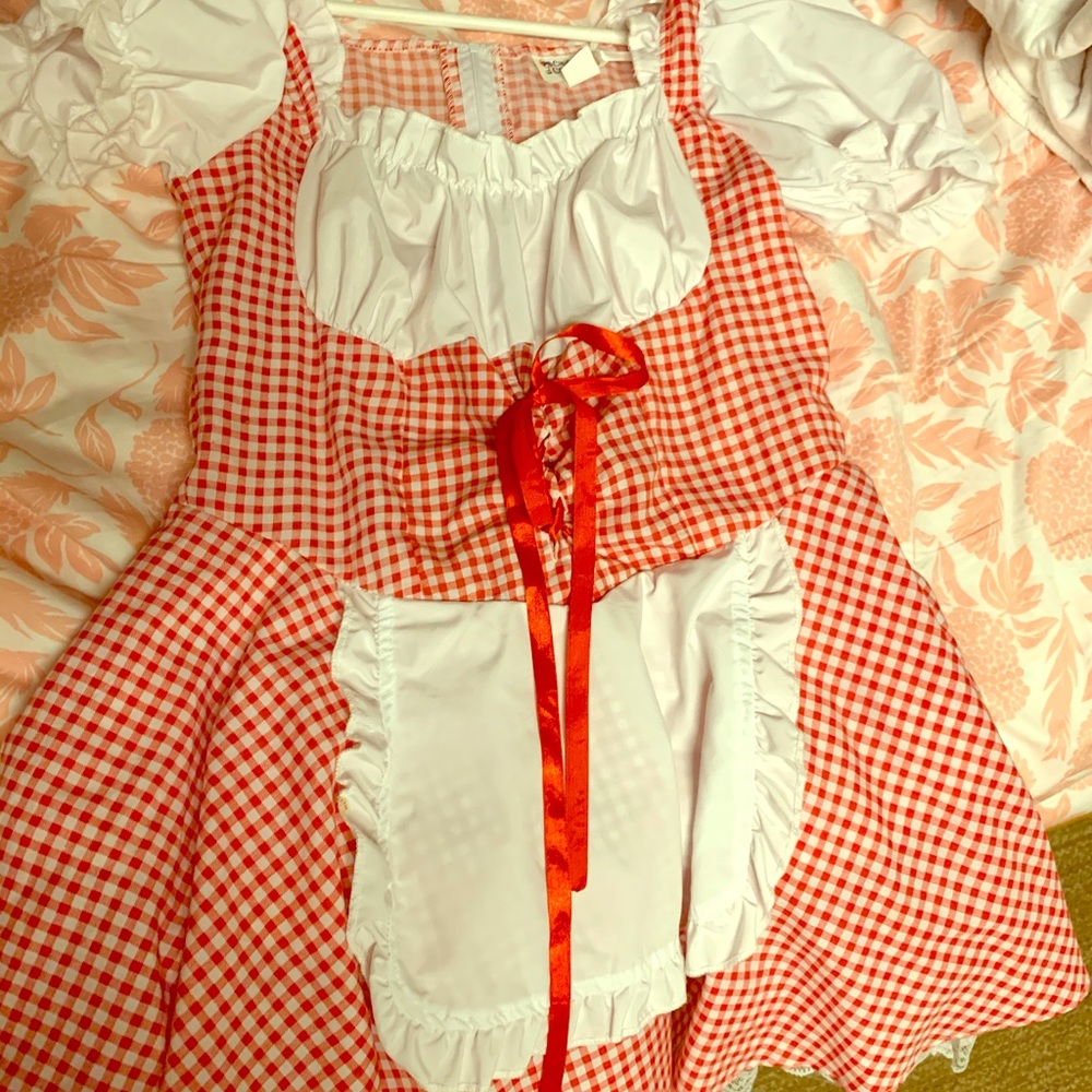 Sexy red reading hood costume SOLD